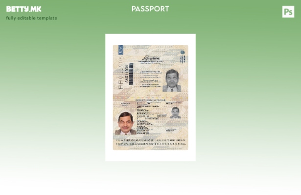 Модерен стил, сегашен шаблон за бразилски пасош